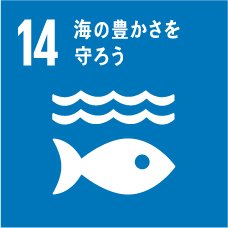 海洋と海洋資源を保全し、持続可能な形で利用する